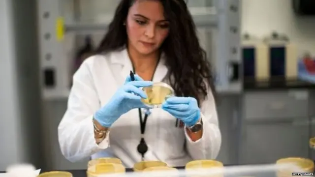 कोरोना व्हायरस