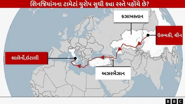 ટામેટાં, ઇટાલિયન પ્યૂરી, ખેડૂતો, મજૂરી, બળજબરી, શોષણ, બીબીસી ગુજરાતી