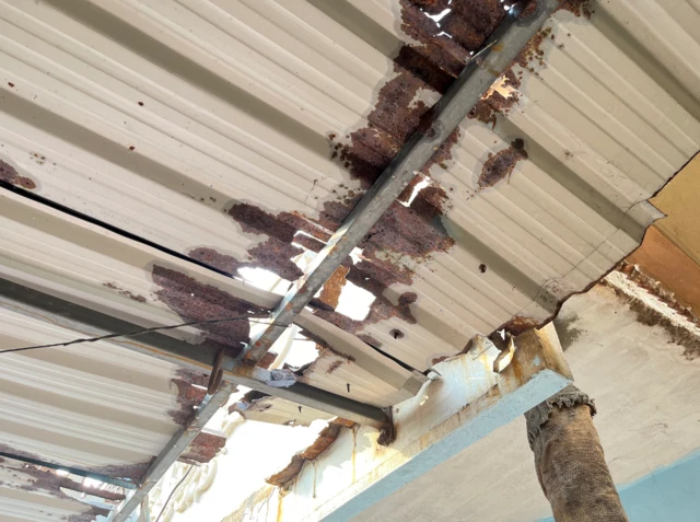 పవర్ ప్లాంట్, కాలుష్యం, ఐరన్