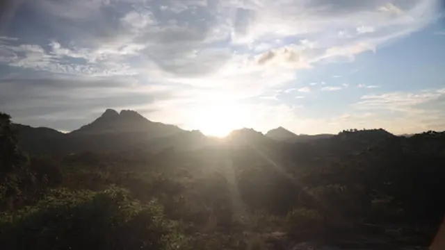 थिम्मम्मा मारिमनु