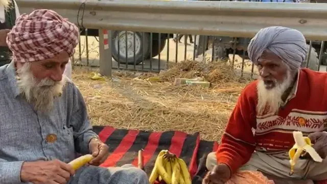 शेतकरी, पंजाब