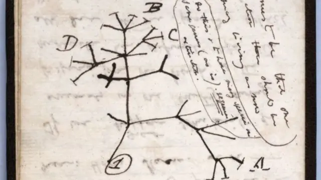 ပျောက်ဆုံးနေတဲ့ စာအုပ်ထဲမှာ Tree of Lifeပုံကြမ်းရေးထားတဲ့စာအုပ်လည်းပါနေ