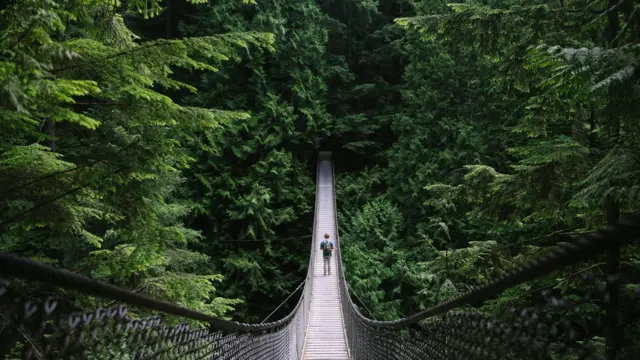 சிறந்த வாழ்கை தரம்: உலகிலேயே கனடா முதலிடம் - என்ன சொல்கிறார்கள் தமிழர்கள்?