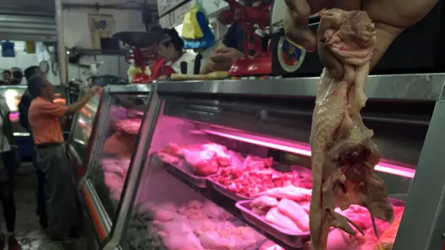 Venta de carapacho en Caracas