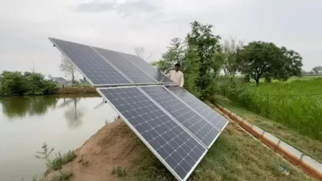 ਪਾਕਿਸਤਾਨੀ ਪੰਜਾਬ ਦੇ ਖੇਤ