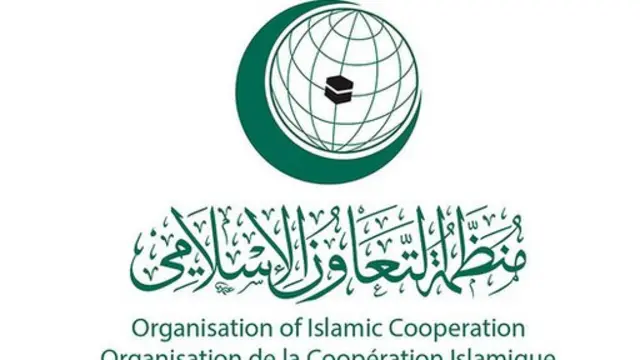 سازمان