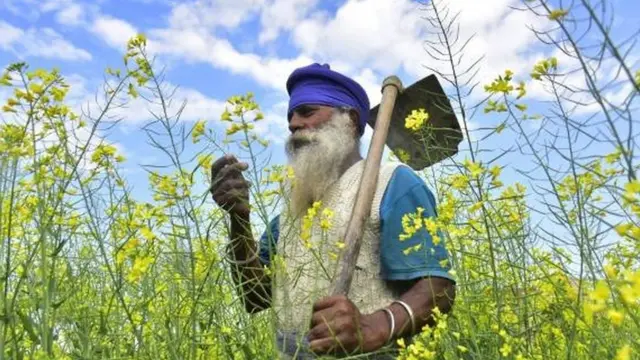 ਬਿਜਲੀ ਸਬਸਿਡੀ