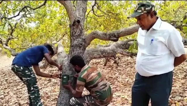 மயிலாடுதுறை, அரியலூர்: சிறுத்தை பல கி.மீ. இடம்பெயர்வது ஏன்? என்ன செய்கிறது?