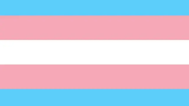 پرچم تراجنسیها