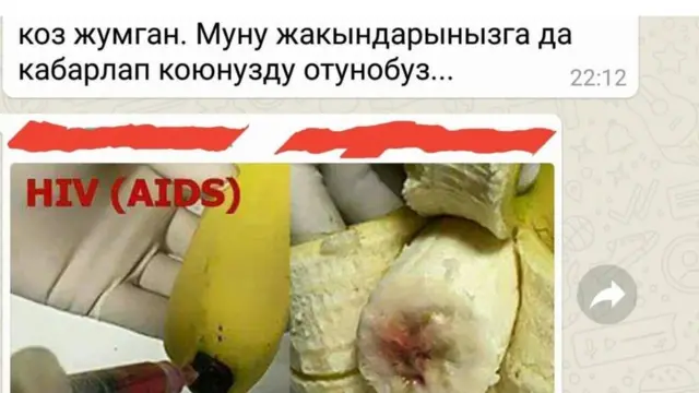 ВИЧ жуктурчу мөмө-жемиш тууралуу кыргыз интернетиндеги фейк маалымат