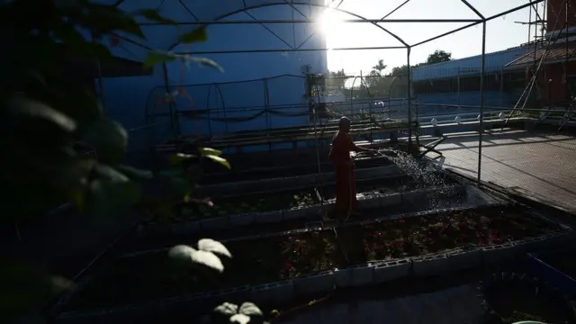 ภิกษุณีในภาพนี้ที่กำลังรดน้ำแปลงผัก