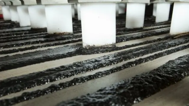 버려진 콘택트렌즈는 농지로 퍼지는 하수 진흙의 일부가 된다