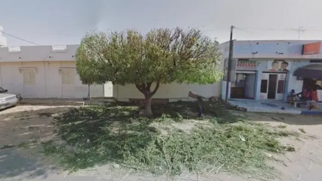 Un árbol en una plaza en Senegal.