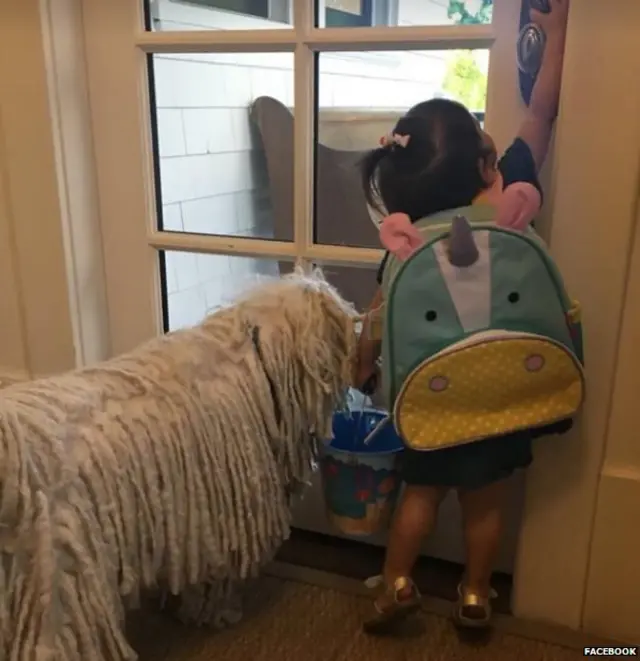 फ़ेसबुक, मार्क ज़करबर्ग, प्रीसिला चान, बच्ची, विज्ञान