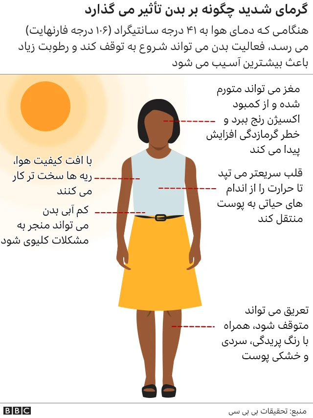 تأثیر گرما بر بدن
