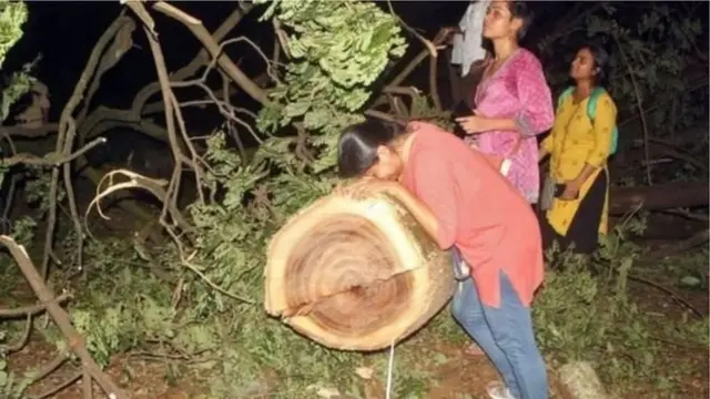 આરે