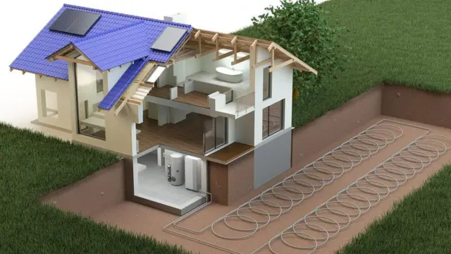 زراعة الأشجار تساهم في تقليل درجة الحرارة