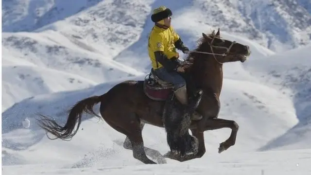 2001-жылы Көк бөрү федерациясы түзүлүп, ага Кыргызстан, Кытай, Тажикстан, Орусия, Афганистан, Түркия, Өзбекстан жана Казакстан мүчө болуп кирген. Алар ошондо эле көк бөрүнүн бирдиктүү эрежесин кабыл алышып, документтерге кол коюшкан эле