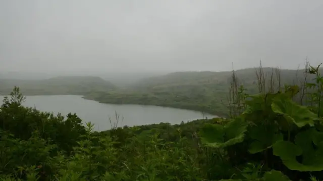 Дальневосточный гектар