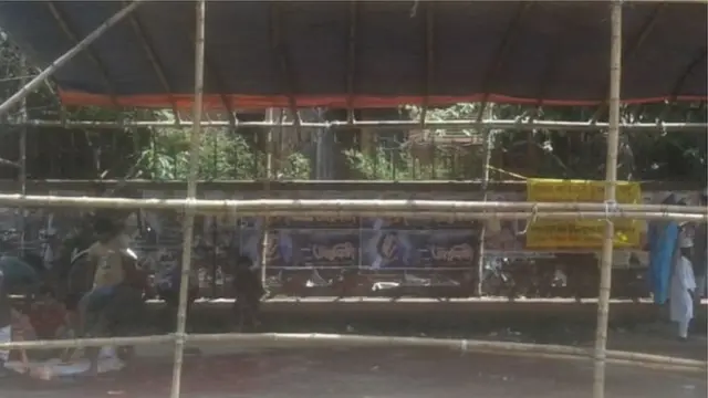 বাংলাদেশ, কোরবানি, গরু