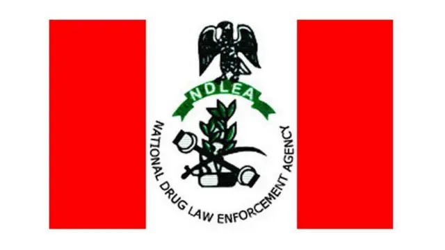 NDLEA