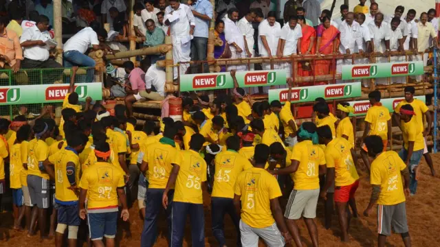 ஜல்லிக்கட்டு