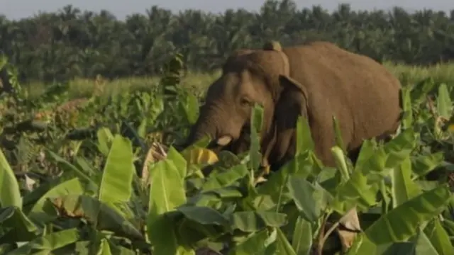 சின்னத்தம்பி