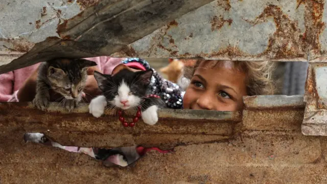 Anak-anak Palestina melihat melalui lubang di pagar lembaran logam saat mereka bermain dengan kucing di luar rumah mereka di lingkungan miskin di Kota Gaza pada 24 April 2022.