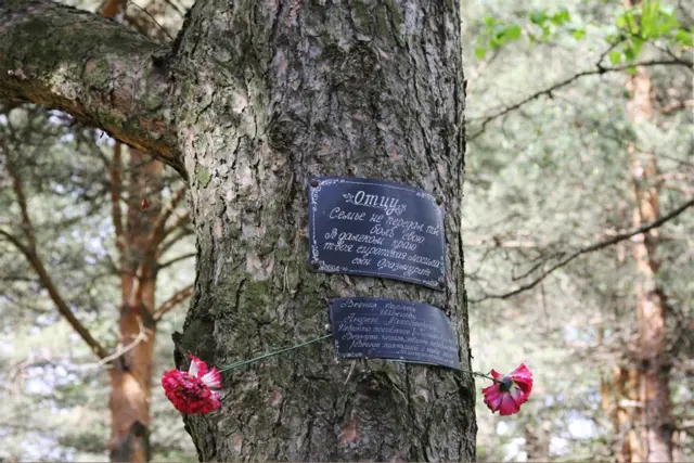 Памятные таблички, укрепленные на дереве. Мемориальное кладбище жертв политических репрессий 'Макариха', г. Котлас Архангельской обл. Фото 05.06.2009