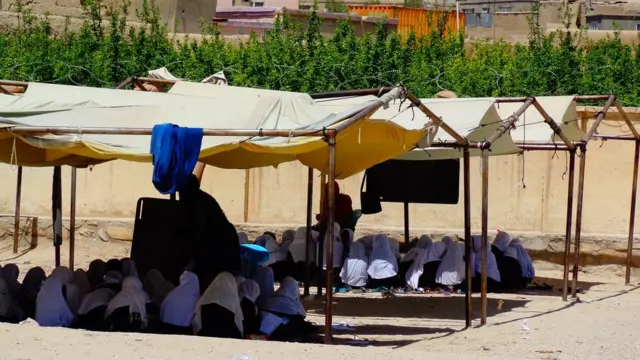 طالبان غزنی