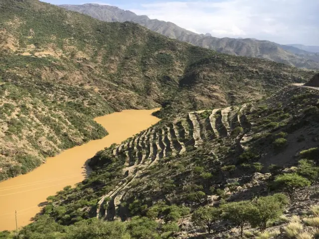 ግድብ ዓሳቦል