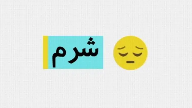 مجموعه "شرم" از رادیو، تلویزیون و سایت بی‌بی‌سی فارسی
