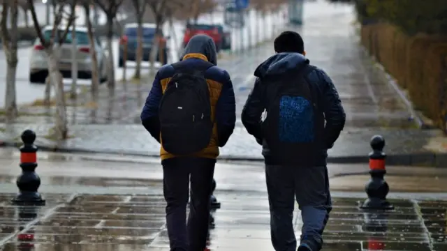 कनाडियाई नागरिकता