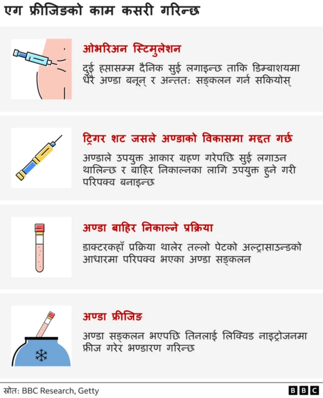 डिम्ब निकाल्ने प्रक्रिया