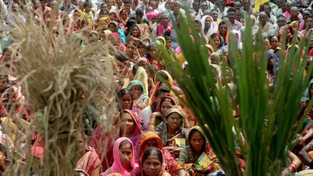 கருகிய பயிருக்கு இழப்பீடு கேட்டுப் போராடும் விவசாயிகள் - ஒடிஷா.