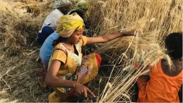 హేమమాలిని ఫొటో