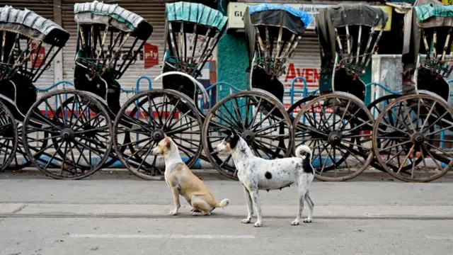 કોરોનાને કારણે સૂમસામ રસ્તાની તસવીર