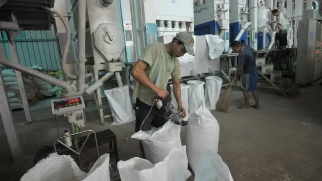 ပြည်တွင်းစားသုံးမှု ဆန်တစ်နှစ်ကိုတန် ၈ သန်းကျော်လောက်လိုအပ်