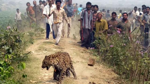 પ્રતીકાત્મક તસવીર