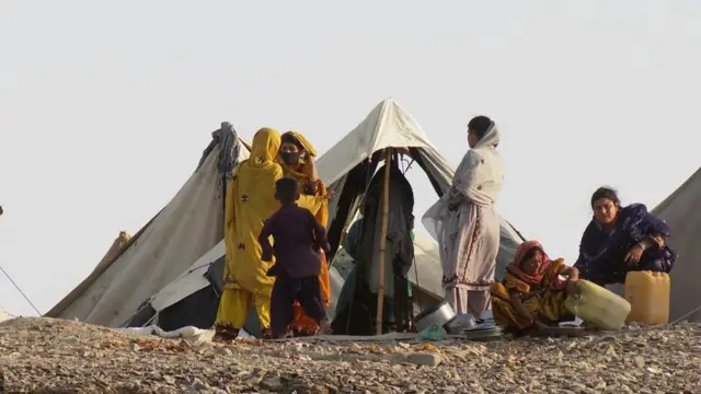 ذکری برادری