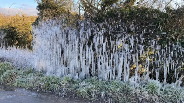 سياج من الجليد