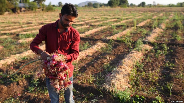 सुनील धोंडगे