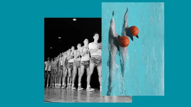 Composición de imágenes de delfines sobre humanos