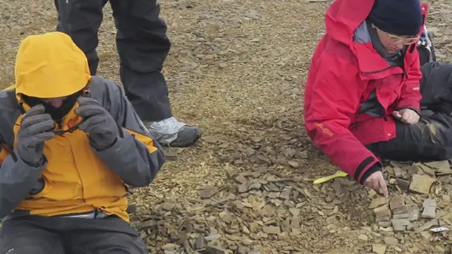 Paleontólogos trabajando. Foto: gentileza Instituto Antártico Argentino.