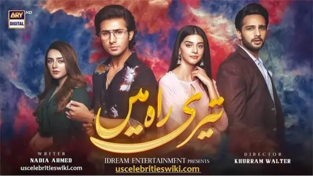 تیری راہ میں