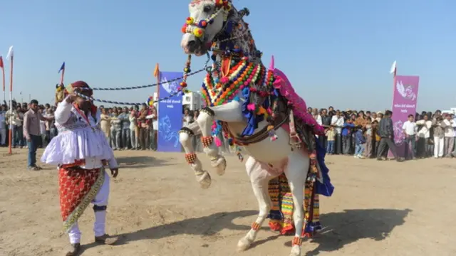 ઘોડીને નચાવી રહેલા યુવકો