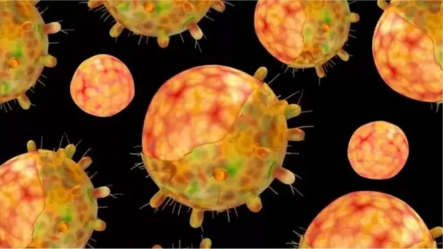 కరోనా వైరస్