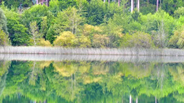 Río Calle-Calle, ubicado en la Región de los Ríos en Chile.