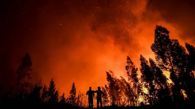 В тушении огня участвуют более 800 пожарных