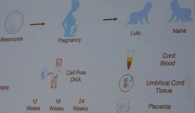 贺建奎现身在香港举行的第二届国际人类基因编辑峰会